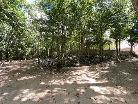 Enchanting Haven: 5-Acres Lot for Sale in Tulum