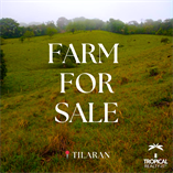 Lots and Land for Sale in Tilaran, Guanacaste $750,000