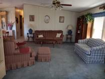 Homes for Sale in The Meadows at Country Wood, Plant City, Florida $45,900