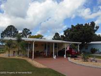 Homes for Sale in Brookridge, Florida $249,942
