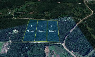7.5 Acre Parcels just minutes from San Ignacio in Belize