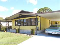 Homes for Sale in Brookridge, Florida $189,980