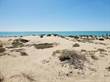 Lots and Land for Sale in Sonora, Puerto Penasco, Sonora $595,000
