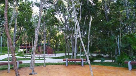 LANDS FOR SALE IN THE RESIDENTIAL AREA OF PLAYA DEL CARMEN.