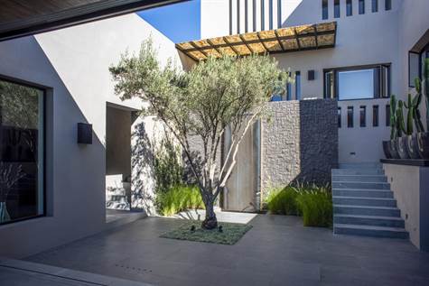 Central courtyard with olive tree