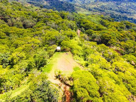 Costa Rica Real Estate - Dominical Farms