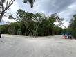 Lots and Land for Sale in Aldea Zama, Tulum, Quintana Roo $1,950,000