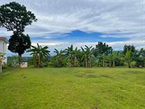 Lots and Land for Sale in Bo. Rio Canas, Mayaguez, Puerto Rico $65,000