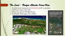 Farms and Acreages for Sale in Jobos Cliff, Isabela, Puerto Rico $3,900,000