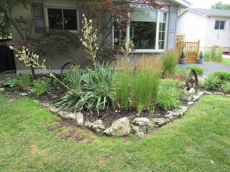 Front Landscaping View 3