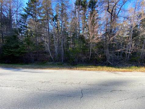 2-acre lot (to be created) close to Summerville Beach