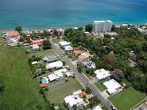 Lots and Land for Sale in Bo. Calvache, Rincon, Puerto Rico $210,000