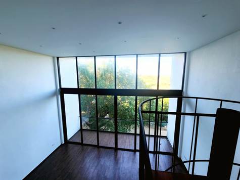 floor to ceiling windows