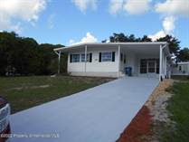 Homes for Sale in Brookridge, Florida $169,961
