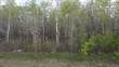 Lots and Land for Sale in Unspecified, St. Laurent, Manitoba $32,899