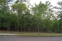 Lots and Land for Sale in Georgetown, South Carolina $45,000