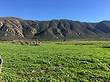 Farms and Acreages for Sale in vallle guadalupe, [Not Specified], Baja California $1,680,000