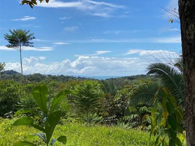 A rare find! 3.92 Acre Ocean and Mountain view lot in the Center of Ojochal