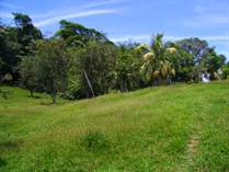 Farms and Acreages Sold in Cahuita, Limón $325,000