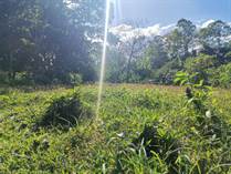 Lots and Land for Sale in San Ramon, Alajuela $25,000