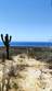 Homes for Sale in Todos Santos, Baja California Sur $3,800,000