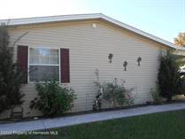Homes for Sale in Brookridge, Florida $249,923