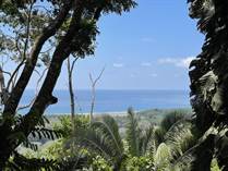Lots and Land for Sale in Hatillo, Dominical, Puntarenas $339,000