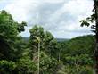 Lots and Land for Sale in Golfito, Puntarenas $399,000