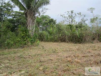 For Sale- 5 Acres of Land in Belmopan