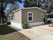 Homes for Sale in Paradise Village, Tampa, Florida $128,000