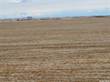 Farms and Acreages for Sale in Saskatchewan, Sherwood Rm No. 159, Saskatchewan $1,270,000
