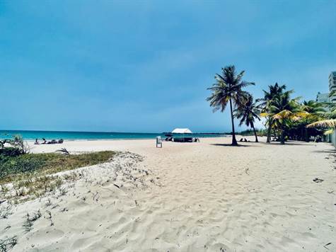 Playa Dorada beach area