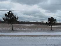 Lots and Land for Sale in Haldimand County, Lowbanks, Ontario $435,000