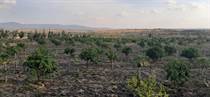 Lots and Land for Sale in Athi River KES50,000,000