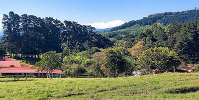 Los Sauces farm in the Heredia mountains