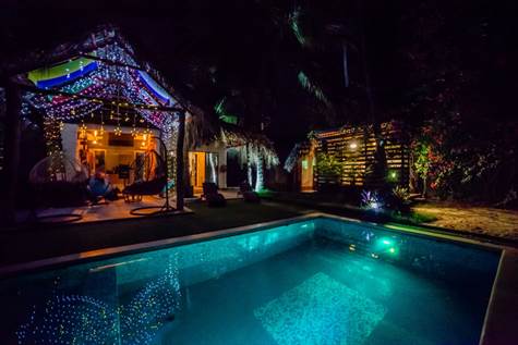 backyard with pool by night