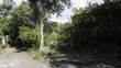 Farms and Acreages for Sale in Bo. Cotto, Isabela, Puerto Rico $306,600