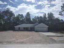 Homes for Sale in Royal Highlands, Brooksville, Florida $316,900