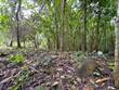 Lots and Land for Sale in Ojochal, Puntarenas $65,000