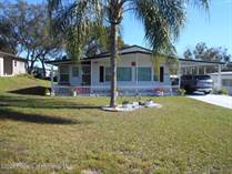 Homes for Sale in Brookridge, Florida $152,000
