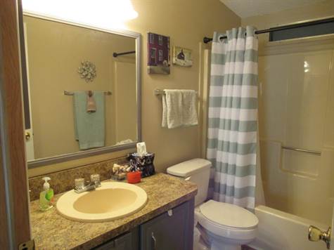 Guest Bathroom with a Tub/shower combo