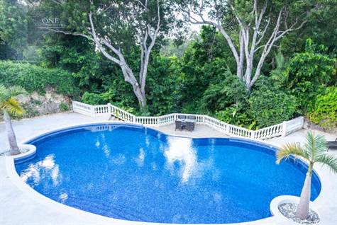 Barbados Luxury Elegant Properties Realty - Communal Pool