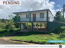 Homes for Sale in Bo. Arenas Ward, Cidra, Puerto Rico $130,000