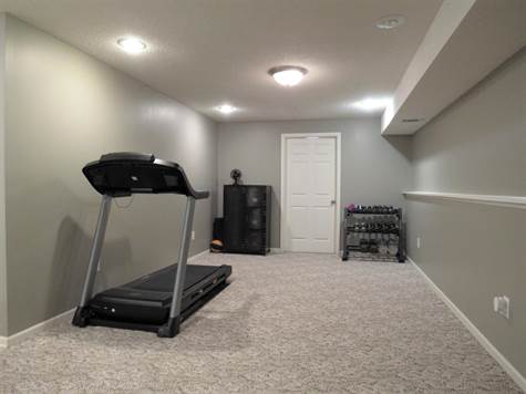 Lower level rec room / workout area