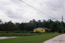 Homes for Sale in Eureka Hammocks, Sanford, Florida $425,000