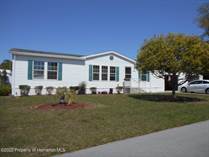 Homes Sold in Brookridge, Florida $249,942