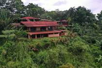 Homes for Sale in Tinamastes, Puntarenas $399,000