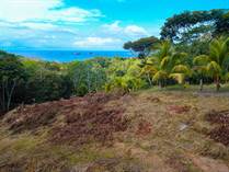 Lots and Land for Sale in Uvita, Puntarenas $995,000