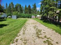 Lots and Land for Sale in Buck Lake, Alberta $65,000