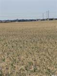 Farms and Acreages for Sale in Saskatchewan, Corman Park Rm No. 344, Saskatchewan $2,300,000